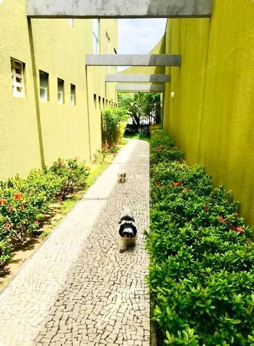Apartamento Com Piscina No Hooftop, 48M2 - Praia Da Iracema- Fortaleza 0*, Fortaleza (Ceara) Brazil